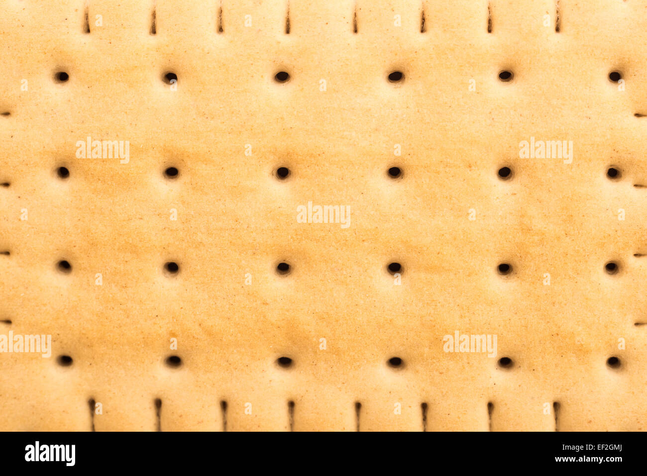 Biscuit Close Up Texture Background Stock Photo Alamy