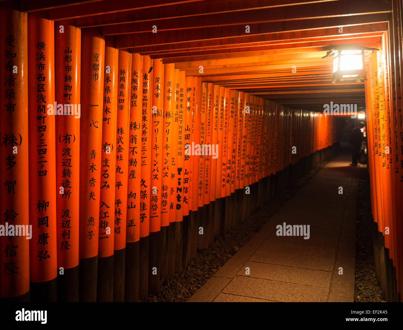 Fushimi Inari Taisha Temple Red Tori Tunnel At Night Stock Photo Alamy