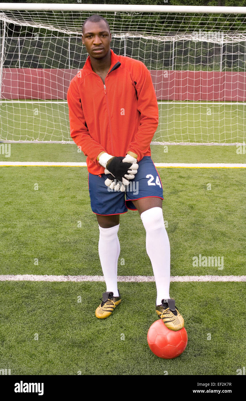 Soccer goalkeeper in net Stock Photo Alamy