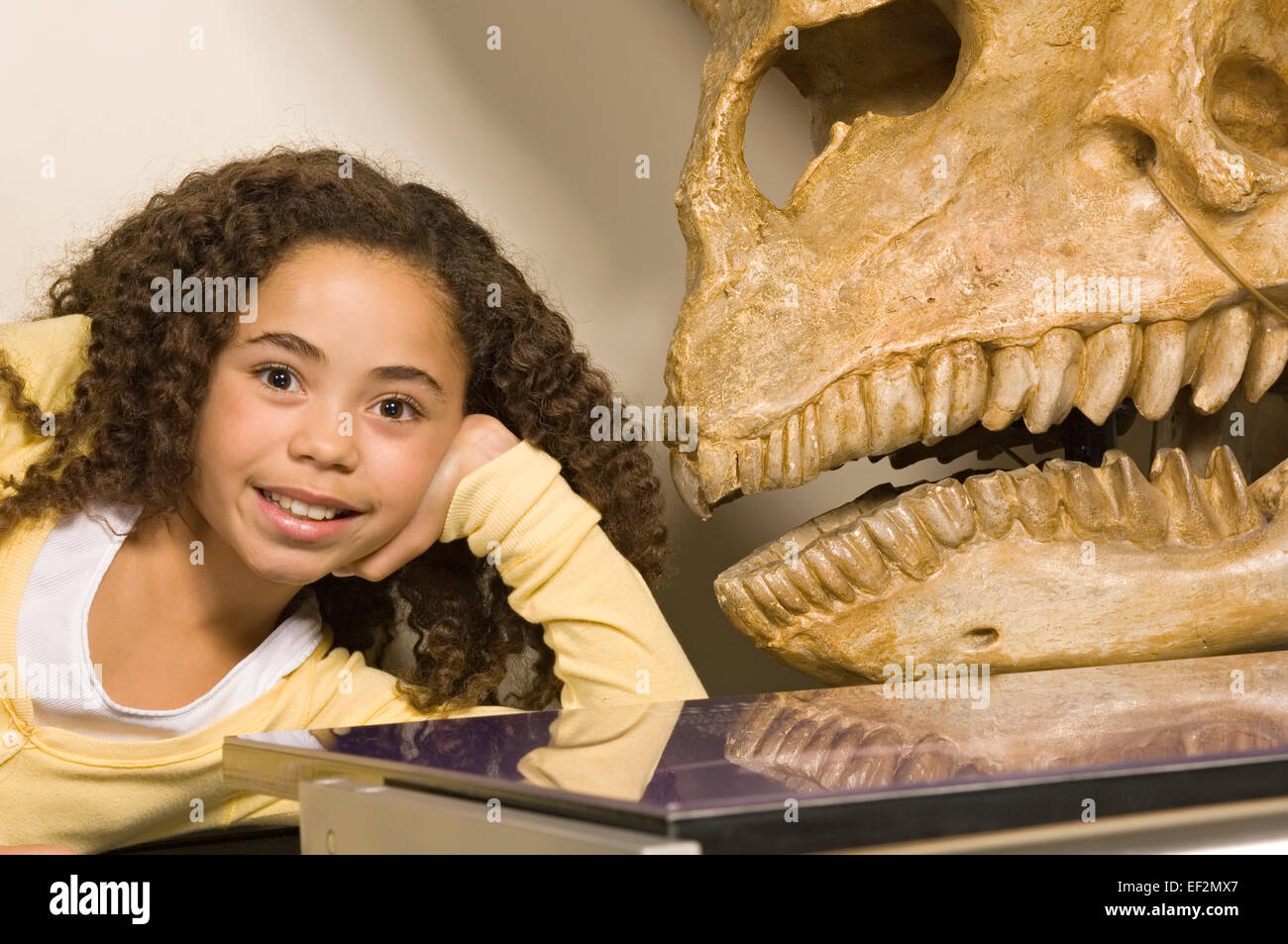 Young student in museum by dinosaur fossil display Stock Photo