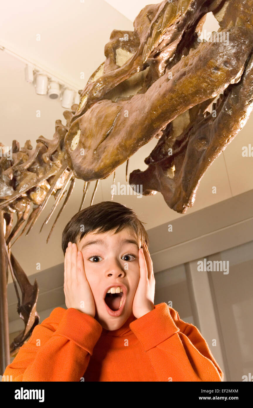 Young student in museum by dinosaur fossil display Stock Photo