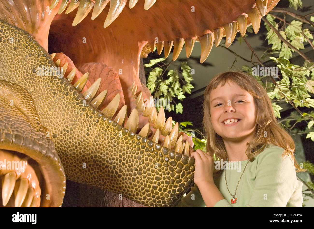 Young student in museum playing by dinosaur diorama Stock Photo