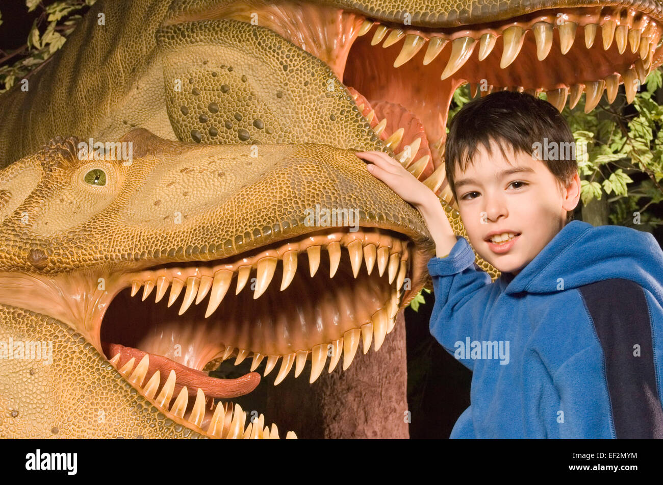 Young student in museum playing by dinosaur diorama Stock Photo