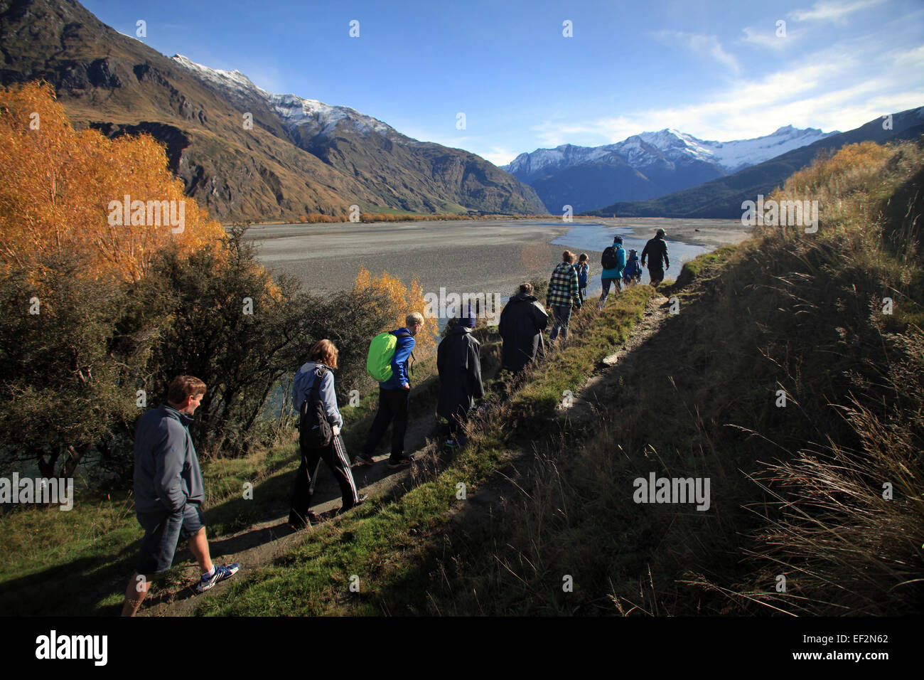 A guide leads his group on a bush walk while jet boating on the Matukituki river which feeds into Lake Wanaka. Mount Aspiring is in the distance Stock Photo