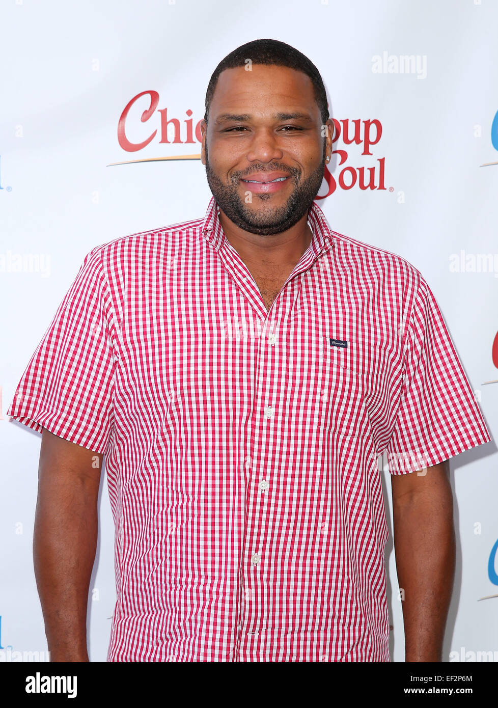 Actor Anthony Anderson Joins Chicken Soup For The Soul to Celebrate its Latest Book Titles, Pet Food Line and More  Featuring: Anthony Anderson Where: Las Vegas, Nevada, United States When: 24 Jul 2014 Stock Photo
