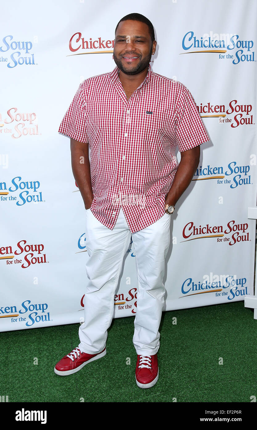Actor Anthony Anderson Joins Chicken Soup For The Soul to Celebrate its Latest Book Titles, Pet Food Line and More  Featuring: Anthony Anderson Where: Las Vegas, Nevada, United States When: 24 Jul 2014 Stock Photo