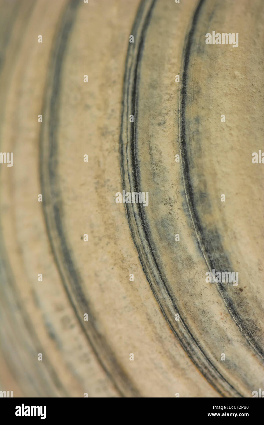 Macro-photo of section of a worn sea shell exterior surface. Stock Photo