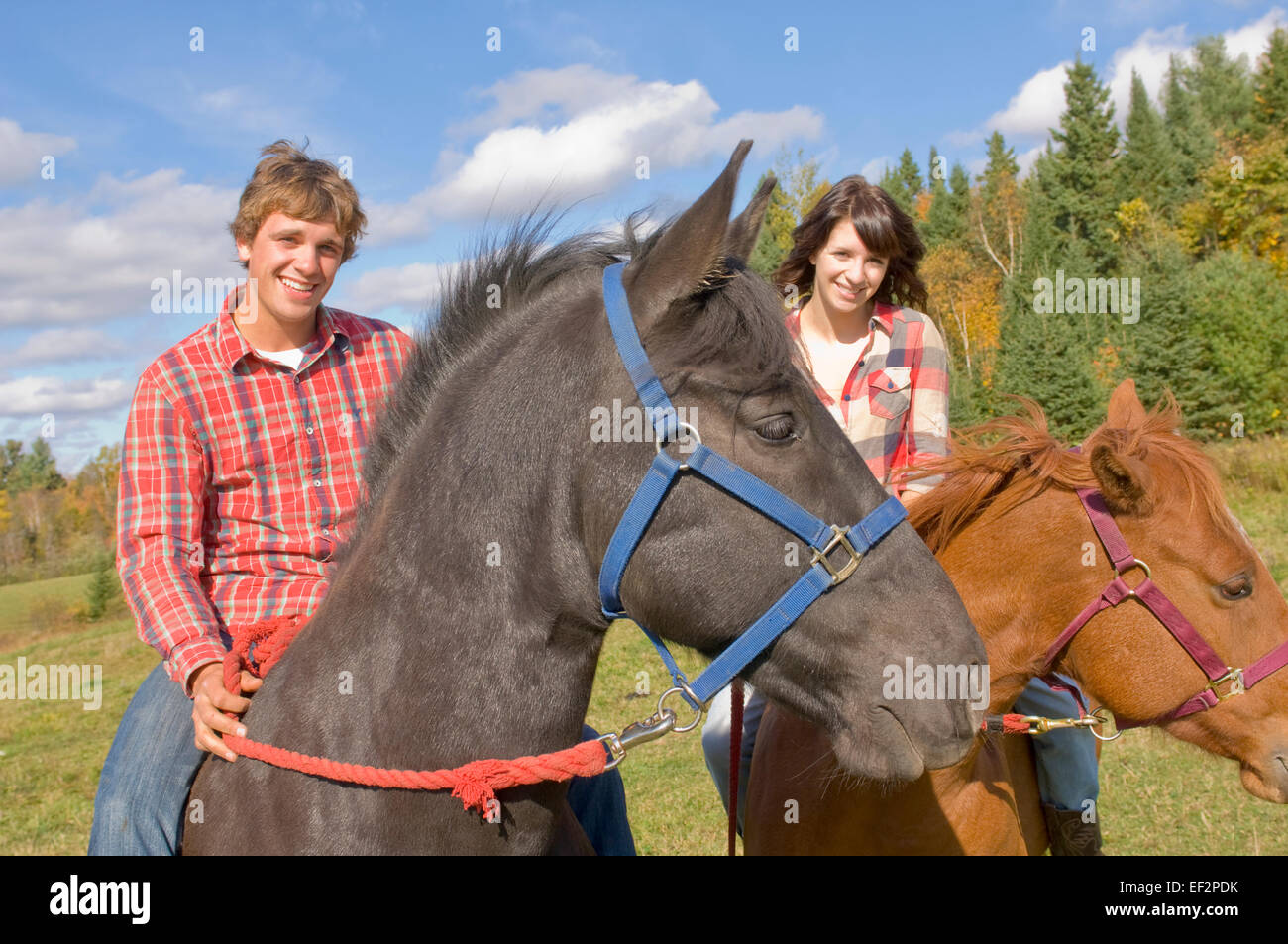Couple horseback riding Stock Photo