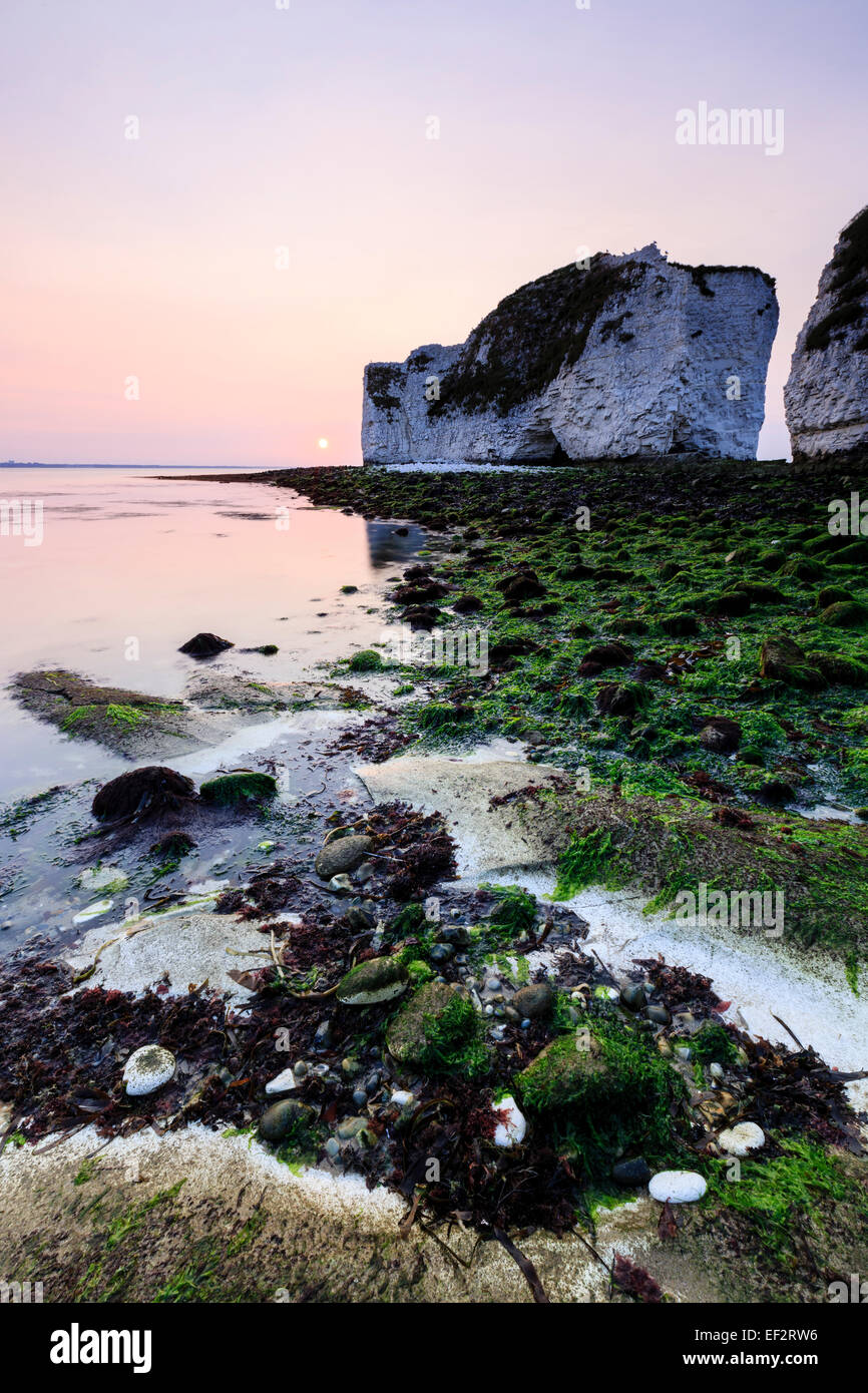Sunrise, Old Harry Rocks, Swanage, Dorset, United Kingdom, viewed from the shore Stock Photo