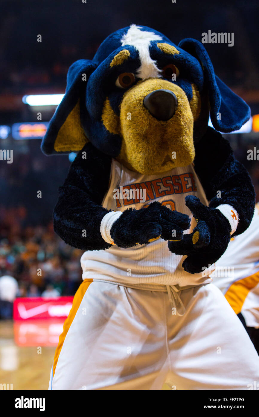 January 25, 2015: Tennessee Lady Volunteers mascot during the NCAA ...