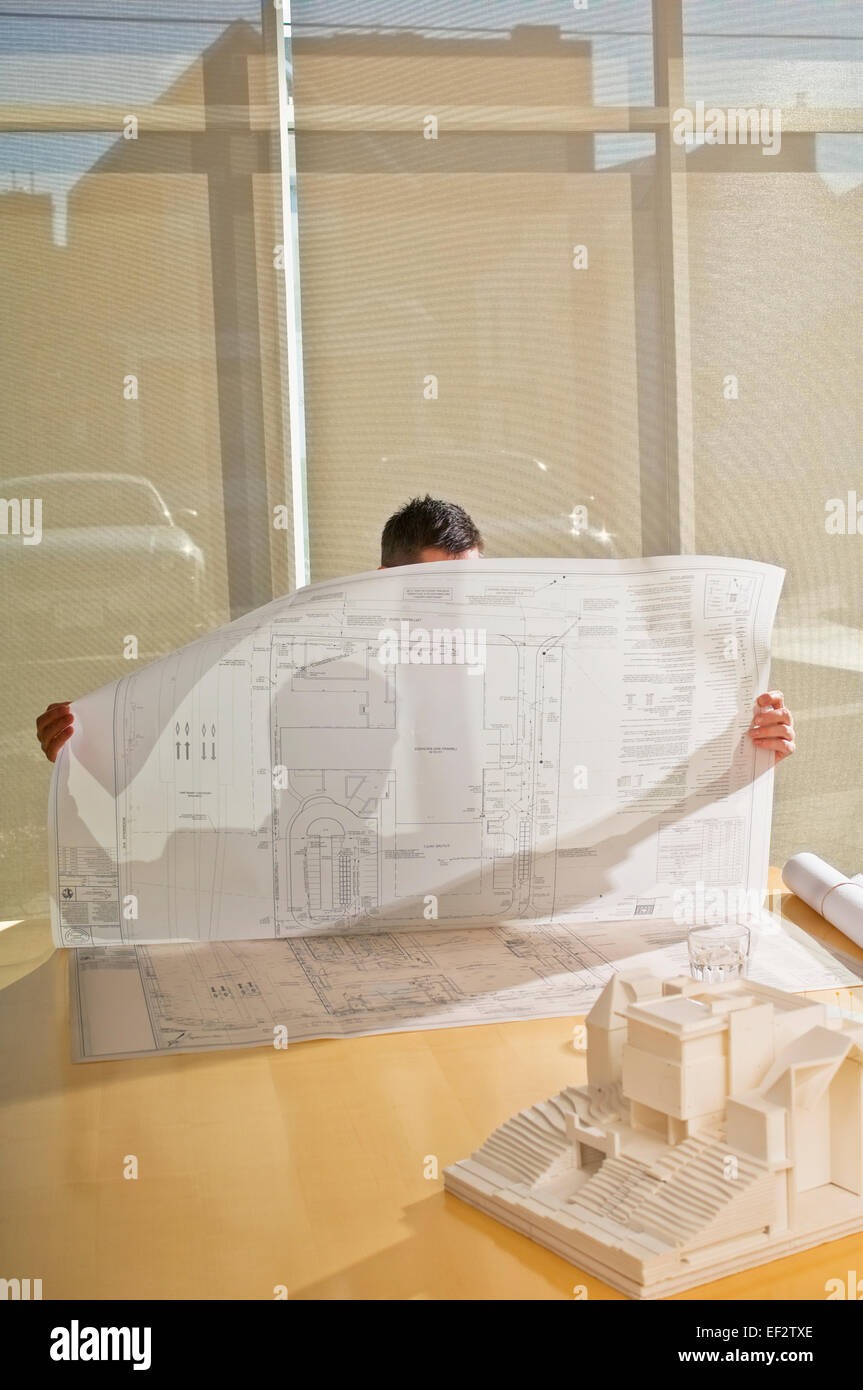 Architect looking at a blueprint Stock Photo - Alamy