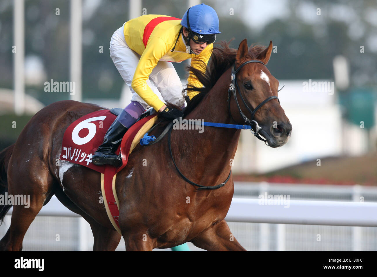 Copano Rickey Aichi, Japan. 25th Jan, 2015. Copano Rickey (Yutaka Take) Horse Racing ...