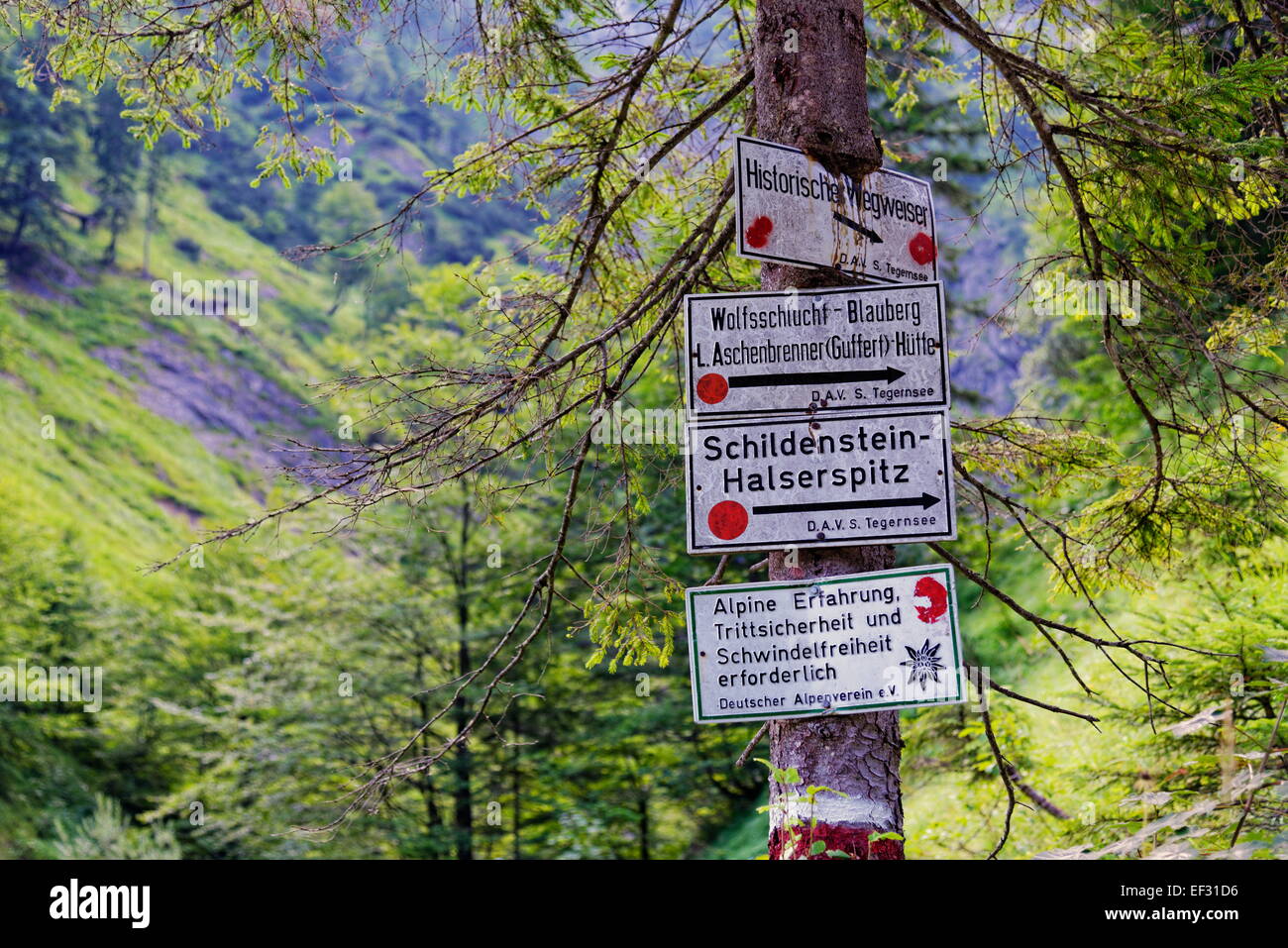 Wolfsschlucht hi-res stock photography and images - Alamy