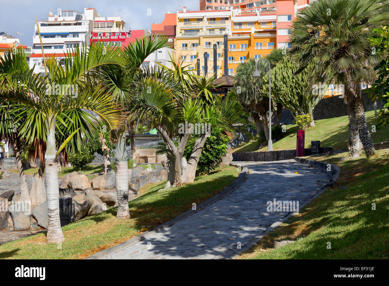 City Park in city Costa Adeje, Tenerife, Canary Islands, Spain Stock ...