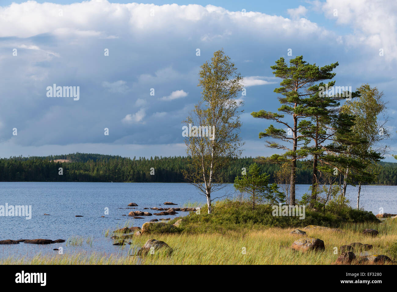 Lake Skärvsjö, Åsenhöga, Gnosjö, Jönköping County, Sweden Stock Photo