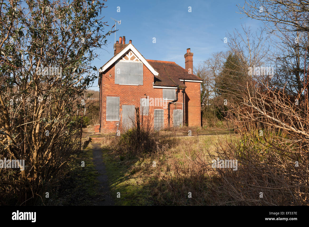 detached house in overgrown garden with metal security sheets boarded up to prevent damage squatters illegal entry to property Stock Photo