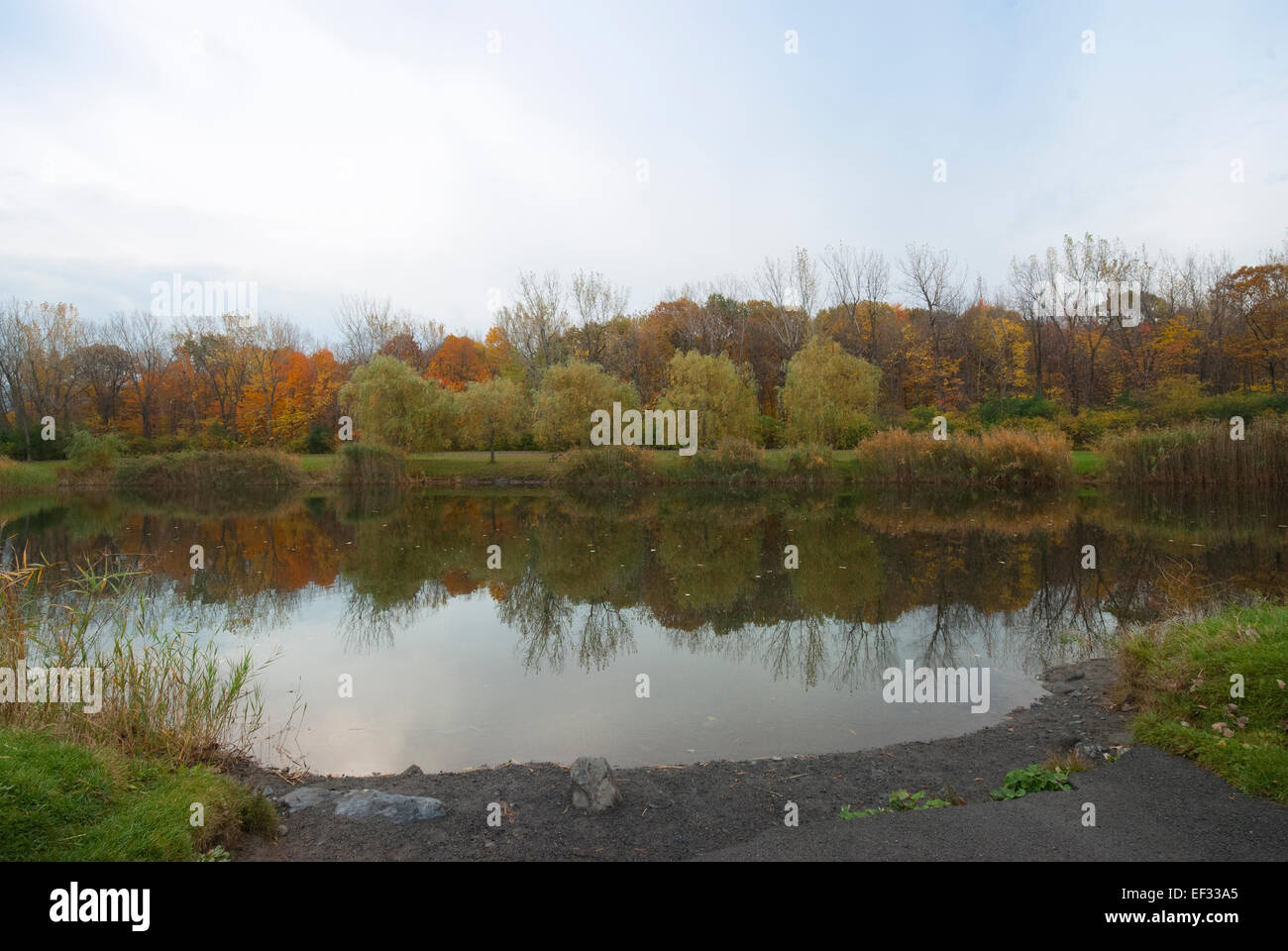 Lake with trees in autumn Stock Photo - Alamy