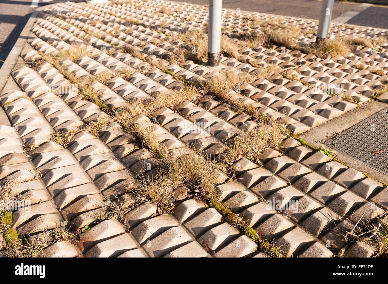 Grass growing between bricks hires stock photography and images Alamy