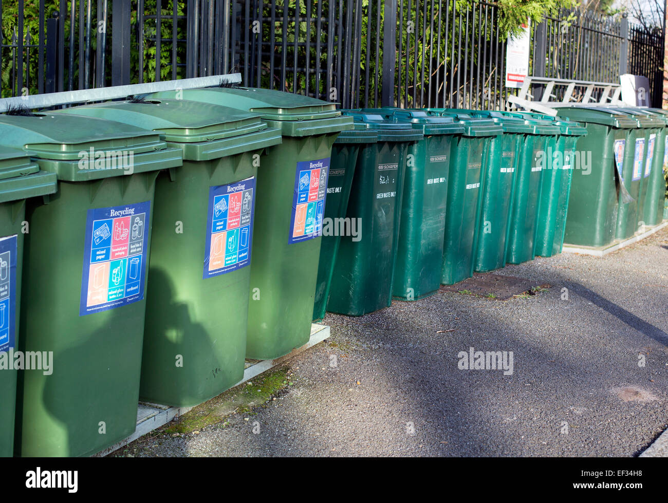 Row green wheely bins bin recycling Stock Photo