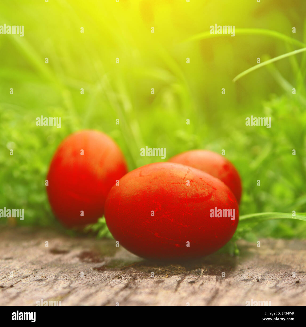 Red Easter Eggs in green grass. Happy Easter, Christian religious holiday. Stock Photo