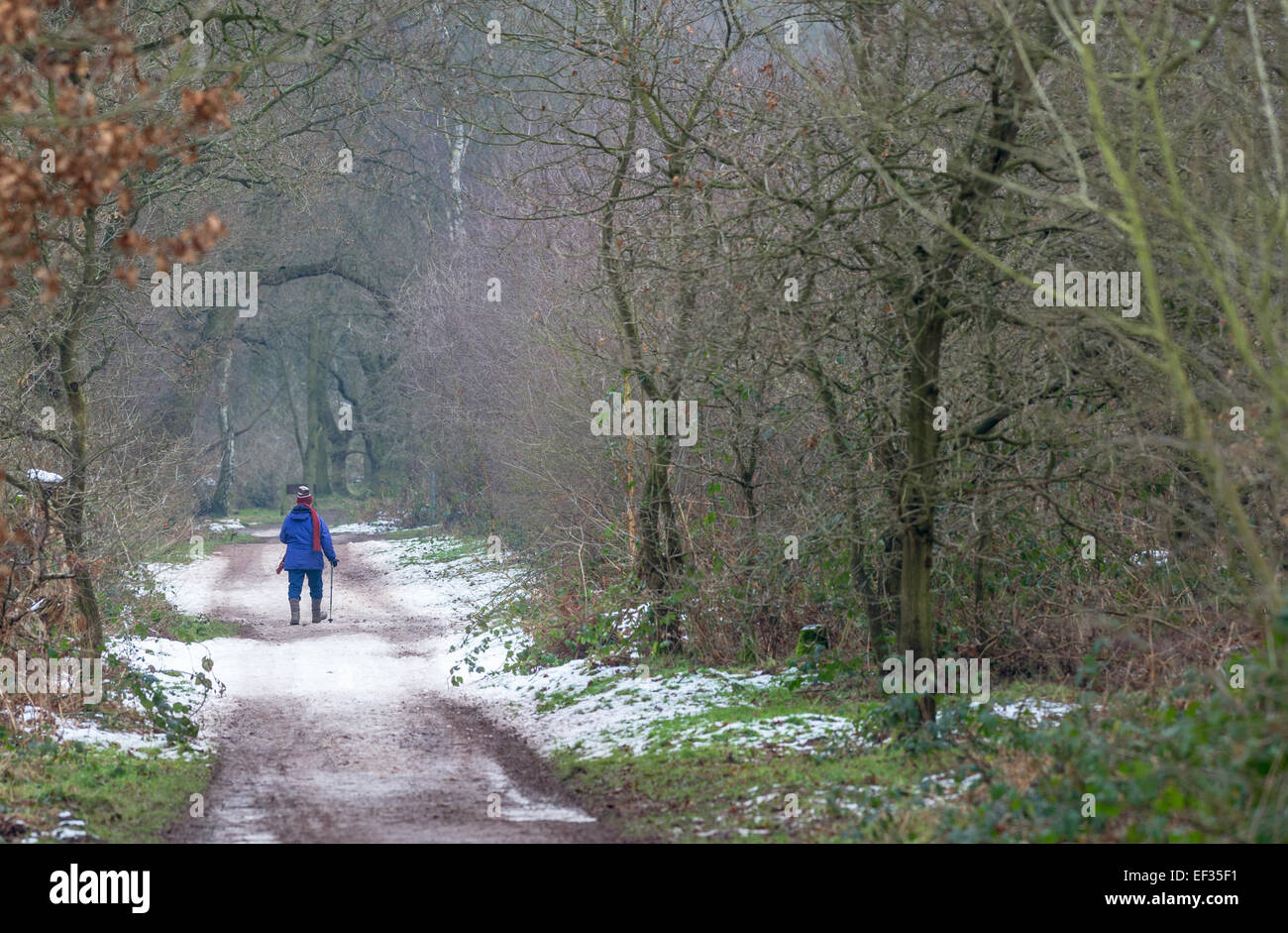 Elderly woman walking snowy road hi-res stock photography and images ...