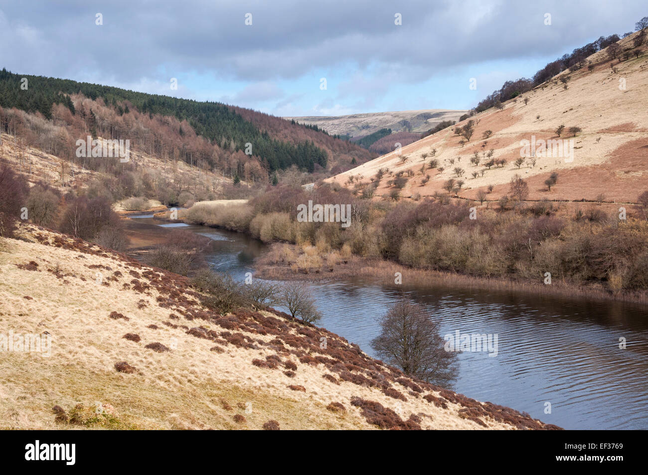 Woodlands valley and Ladybower reservoir with remains of late winter colours. Stock Photo