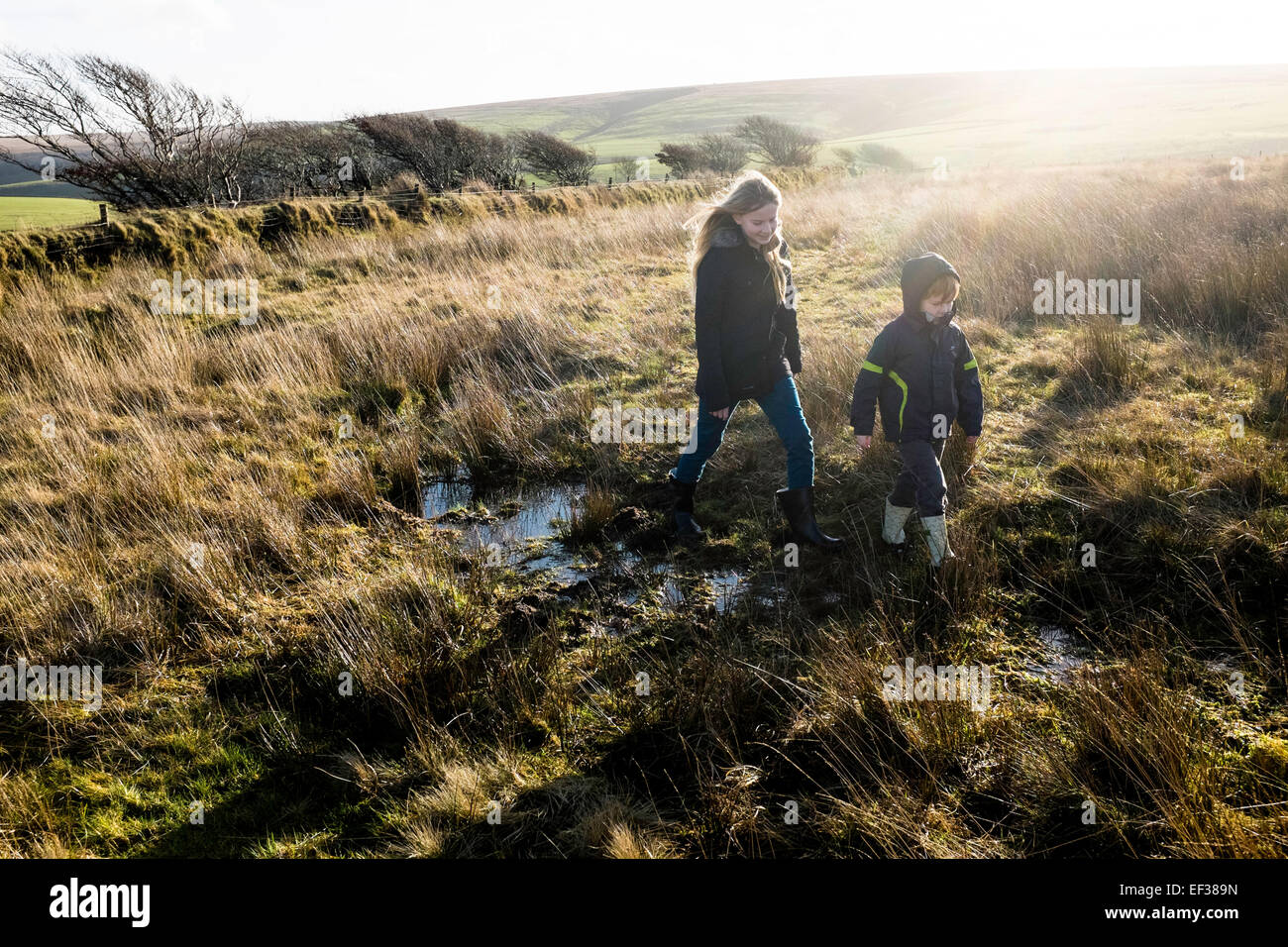 Country walks north Devon Stock Photo