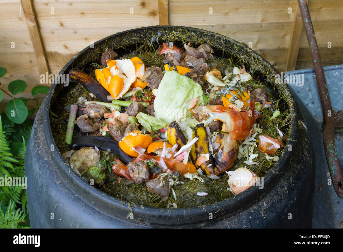 An open compost bin showing the recycling of fruit and vegetable