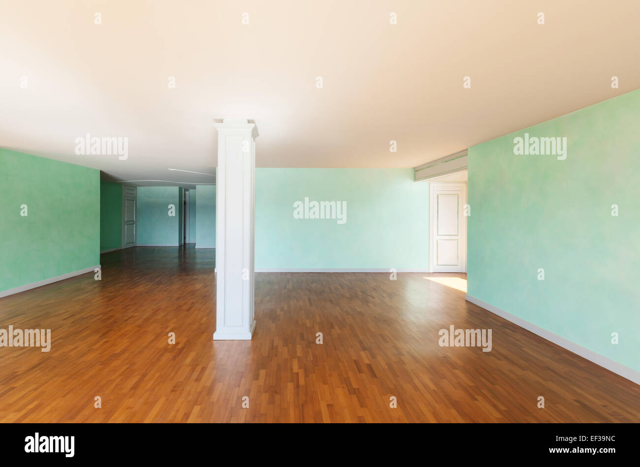 Interior, empty apartment classic, large room Stock Photo