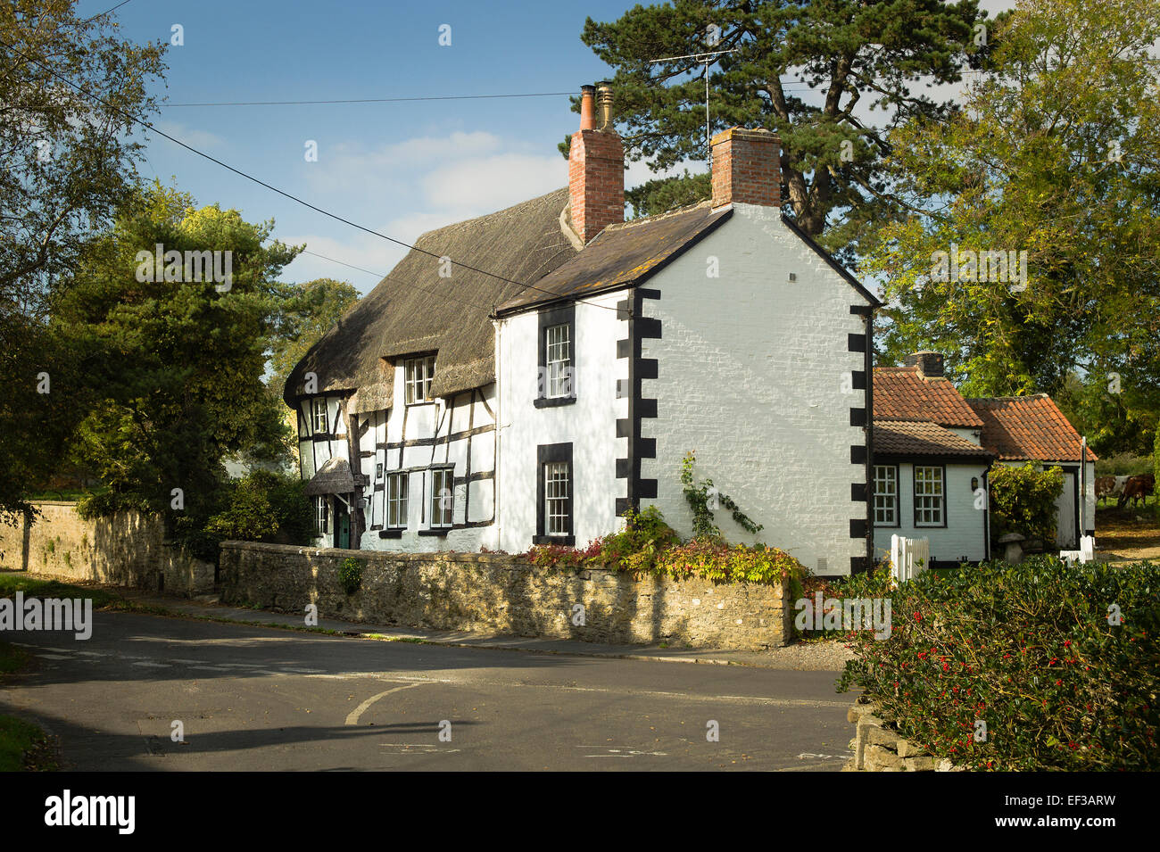 Old thatched house in Keevil village Trowbridge Wiltshire UK Stock ...