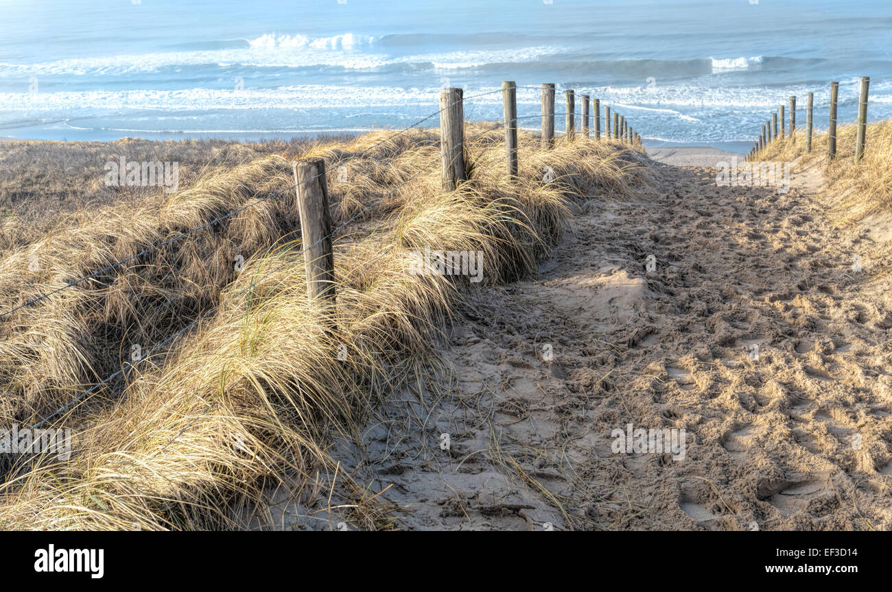 Well-trodden footpath between sand dunes with view on the North Sea, near Katwijk aan Zee, South Holland, The Netherlands. Stock Photo