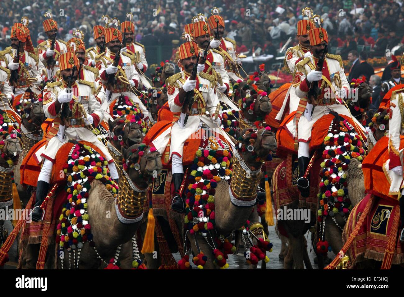 New Delhi, India. 26th Jan, 2015. Camel contingent of Indian Border Security Force (BSF) march during the 66th Republic Day parade in New Delhi, India, Jan. 26, 2015. Republic Day marks the anniversary of India's democratic constitution taking force in 1950. © Partha Sarkar/Xinhua/Alamy Live News Stock Photo
