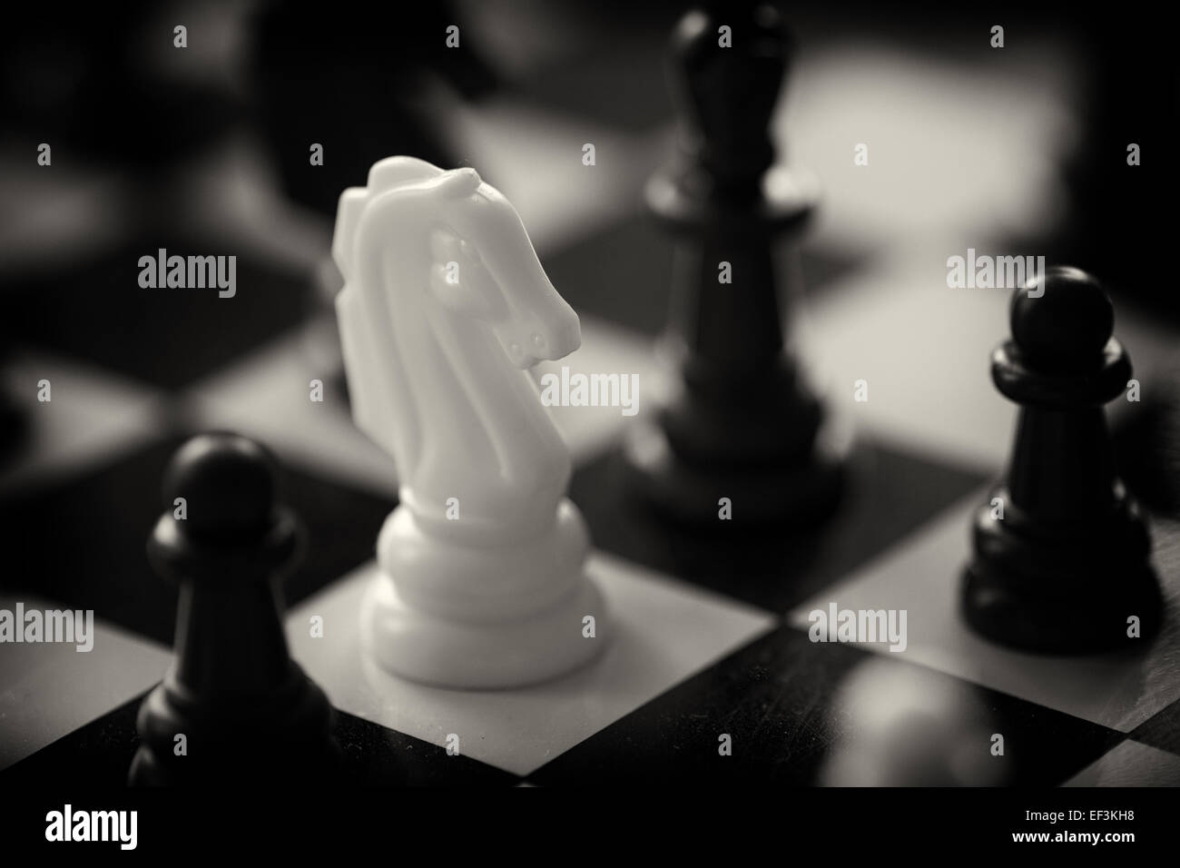 Knight Chess Piece on Chess Board Stock Photo