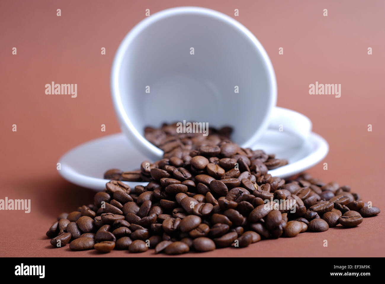 Tasse mit Kaffeebohnen / coffee mug with coffee beans Stock Photo