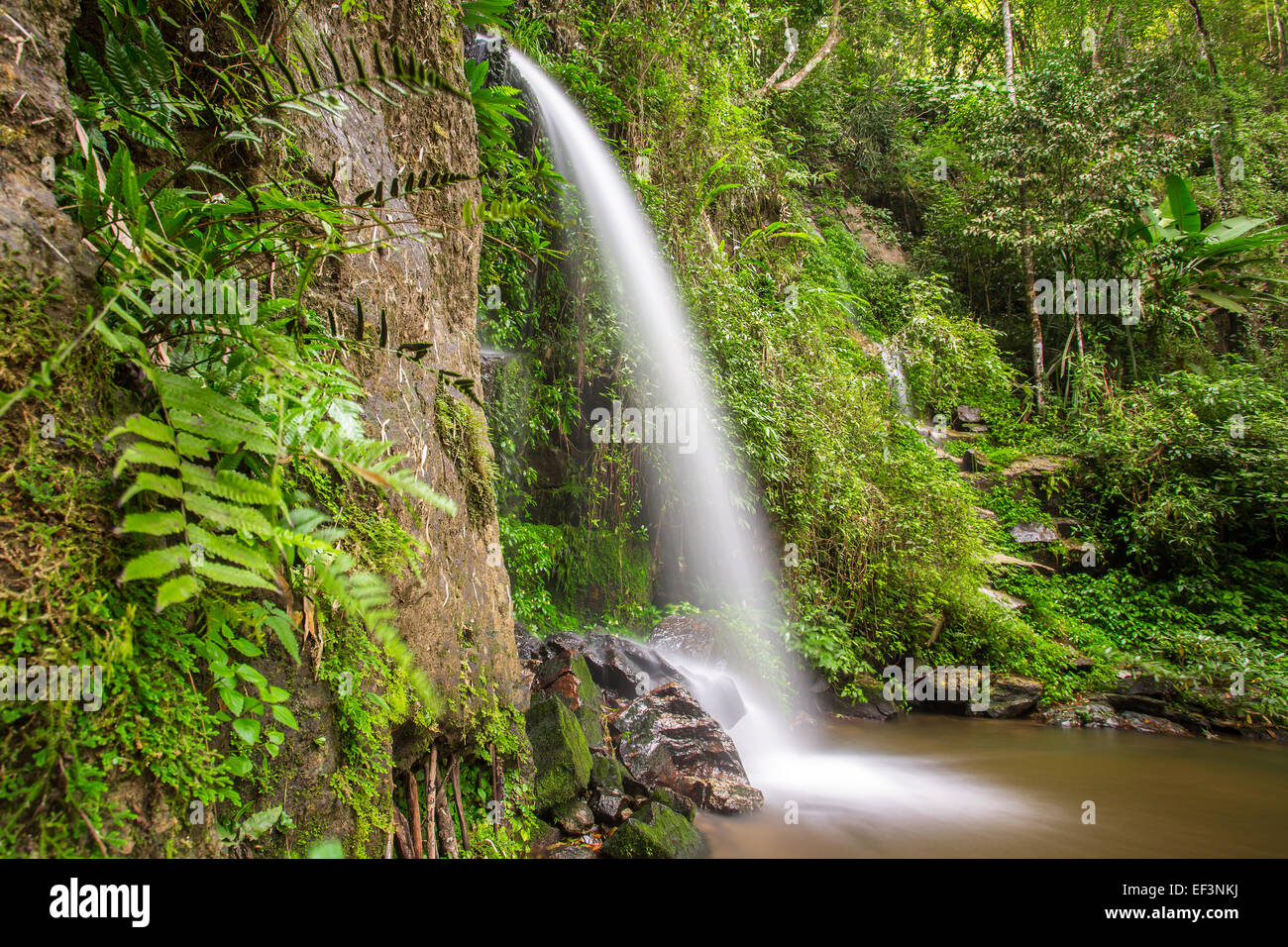 Long exposure shot of a beautiful waterfall in the jungle Stock Photo