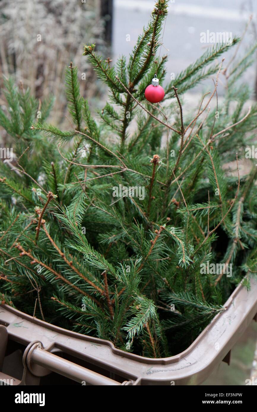 Christmas tree in recycling bin hires stock photography and images Alamy