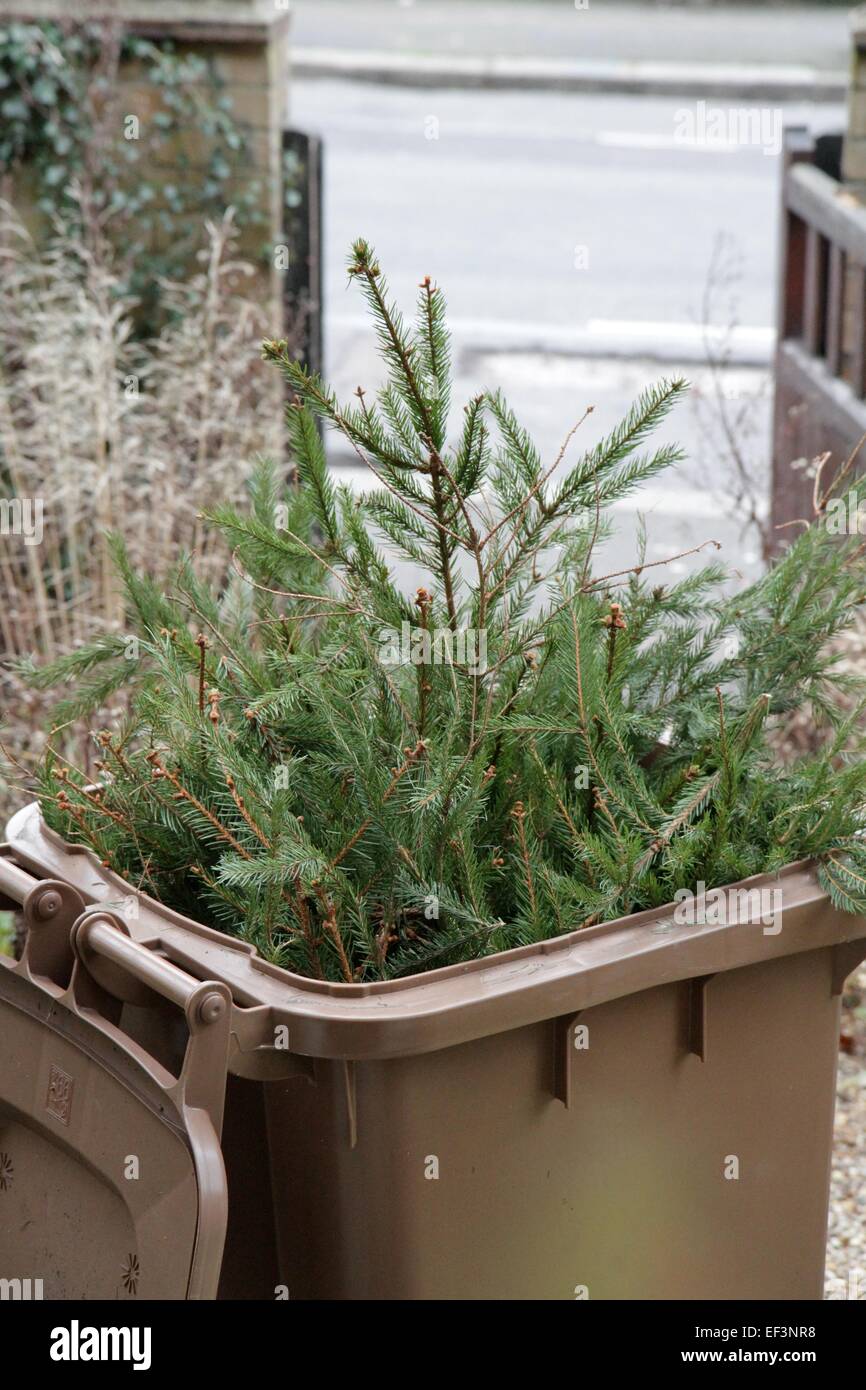 Christmas tree in recycling bin hires stock photography and images Alamy