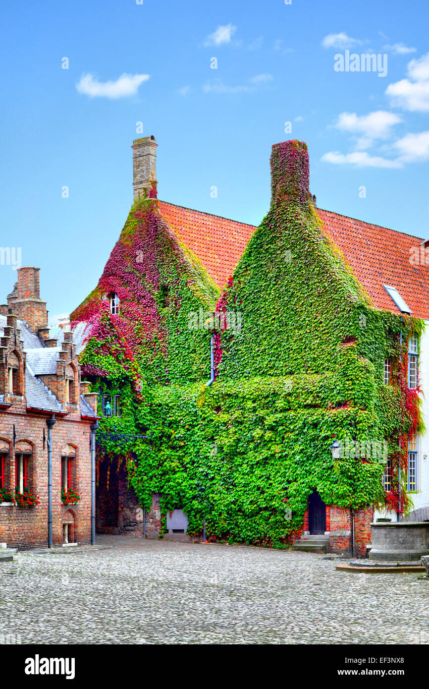 Old houses with ivy in Bruges, Belgium Stock Photo