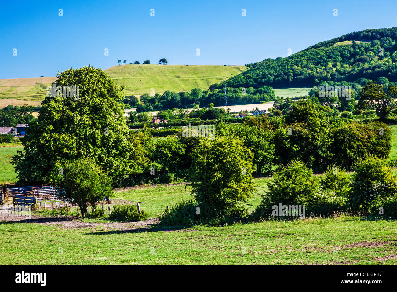 View over farmland towards Roundway Hill and the iron age hillfort of Oliver's Castle near Devizes in Wiltshire. Stock Photo