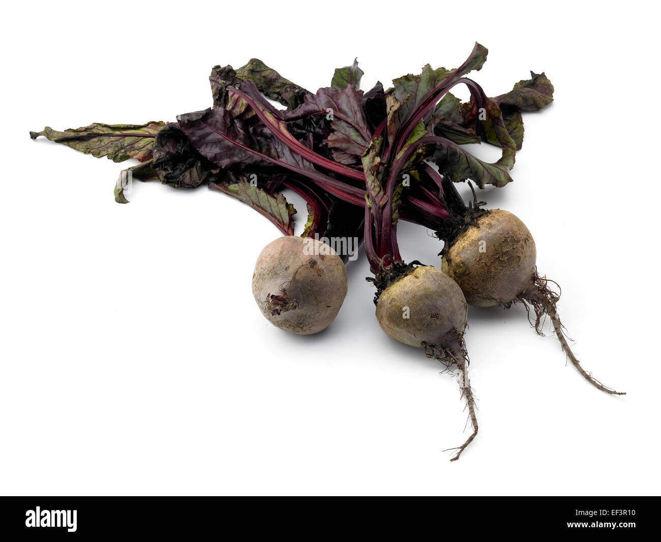 Beetroot with leaves hires stock photography and images Alamy