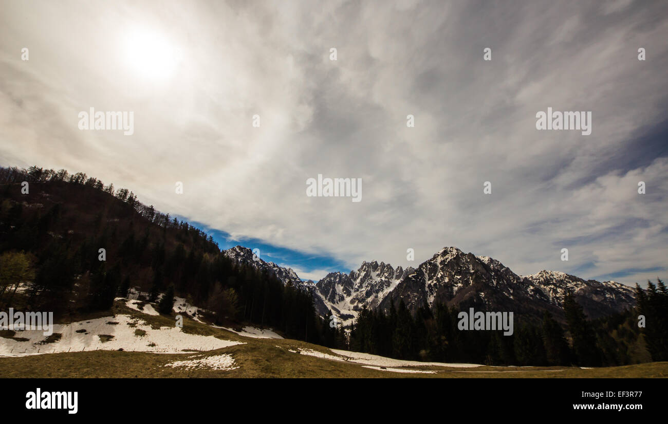 a mountain meadow in a spring morning Stock Photo - Alamy