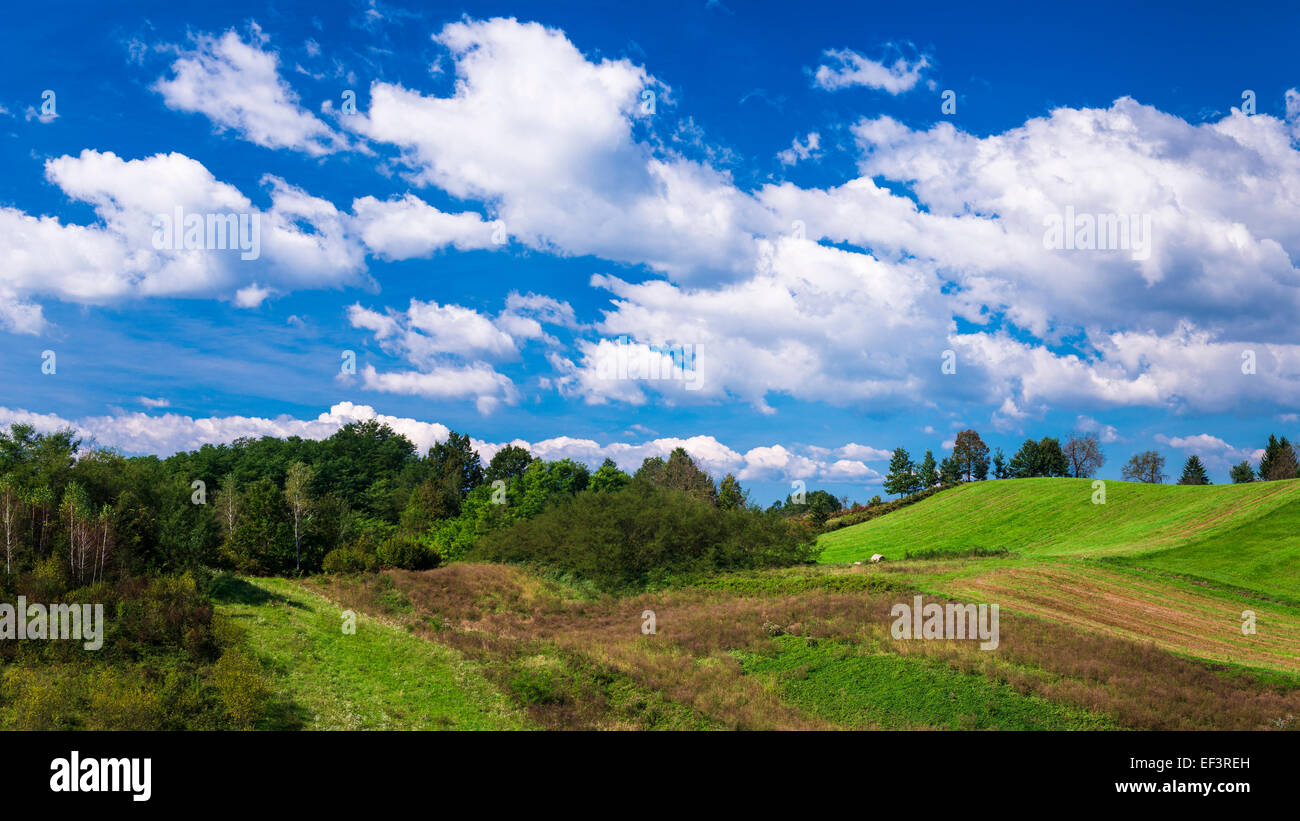 Rolling farmland along the Mrežnica River, Croatia Stock Photo Alamy