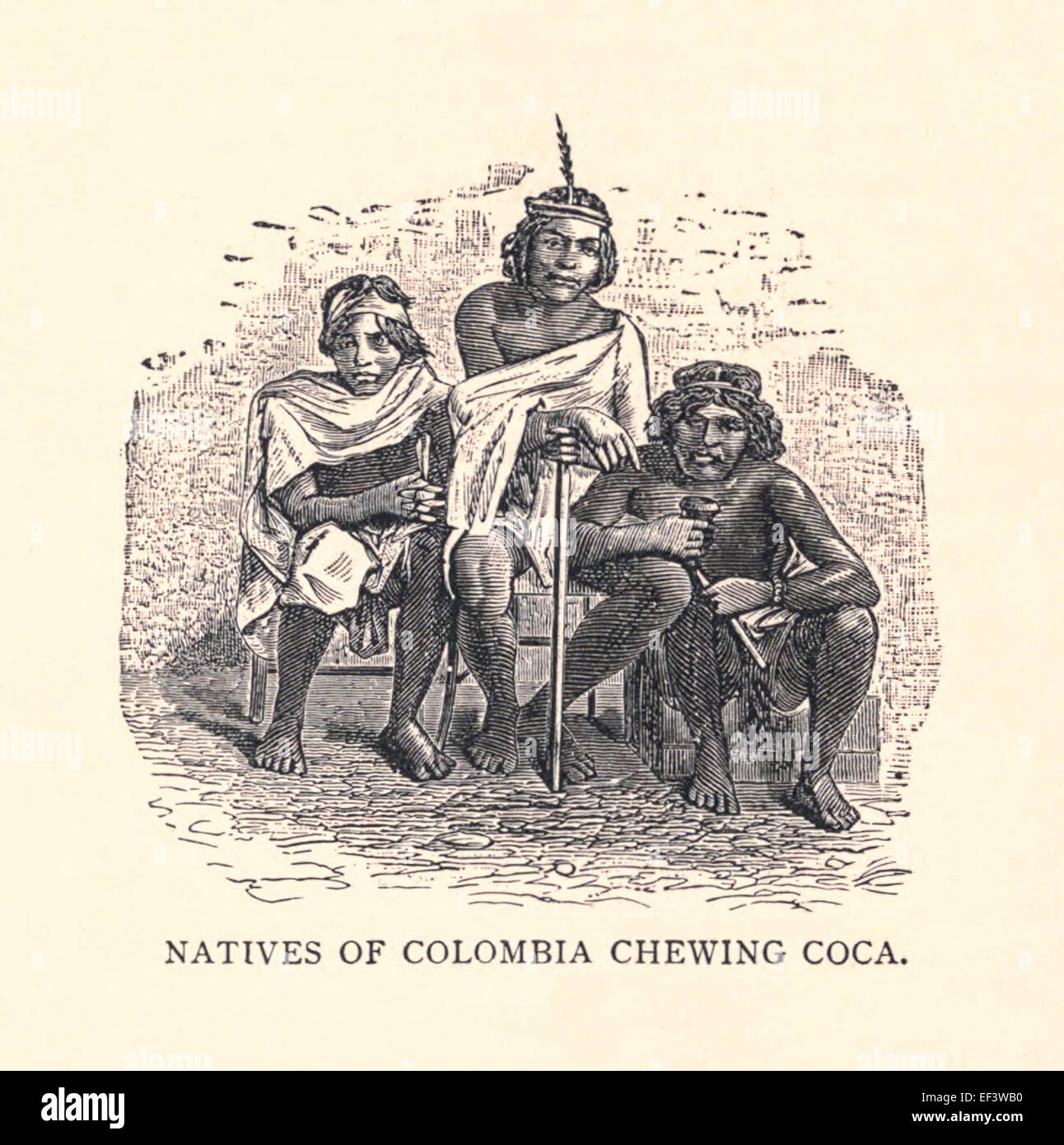 'Branch of Coca (Natural Size). Planted and raised by Mr A. Mariani, Paris'. Engraving of native Colombians chewing coco leaves, on the right one holds a poporo containing lime. See description for more information. Stock Photo