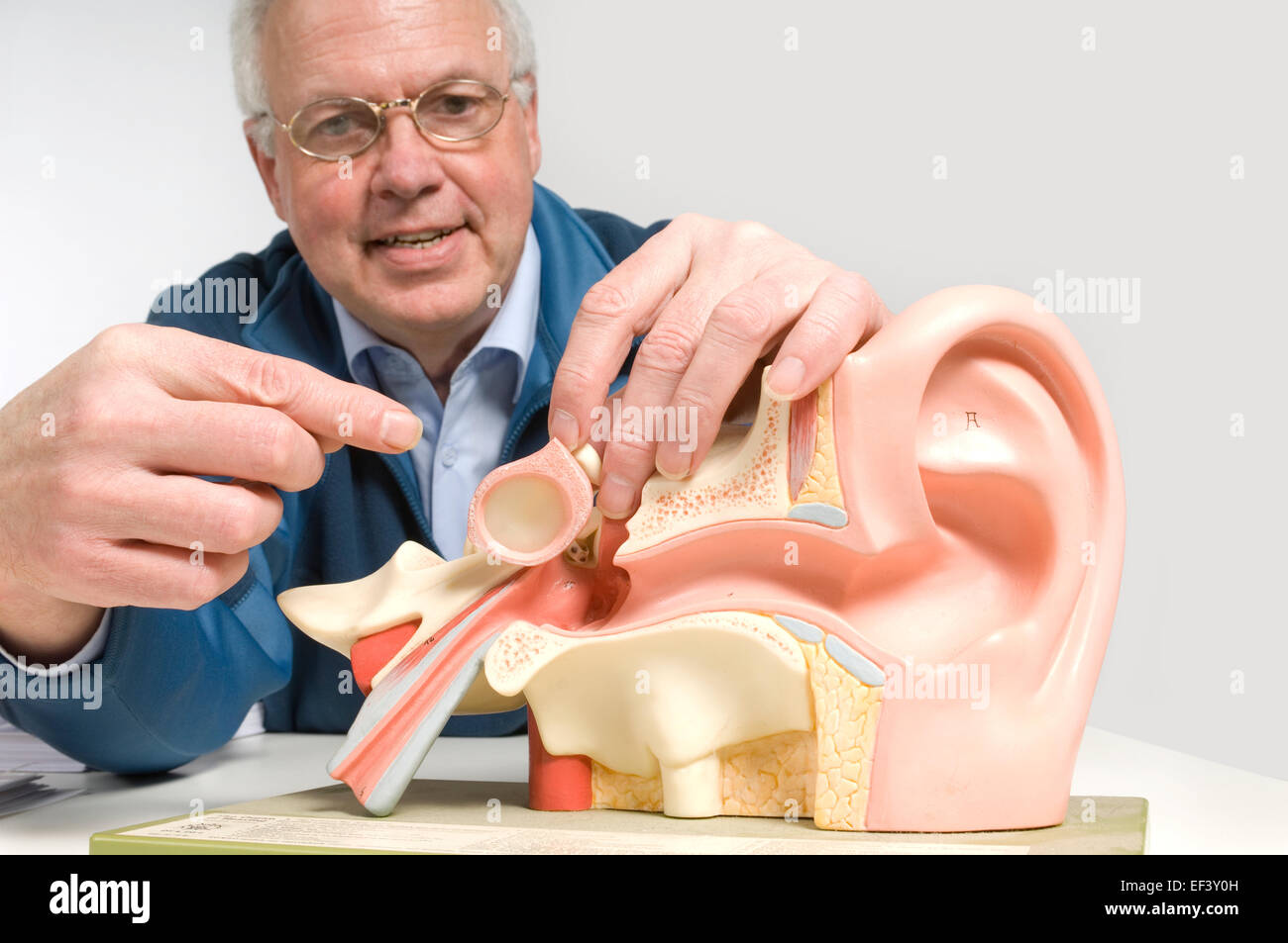 Man pointing to a model of the human ear Stock Photo