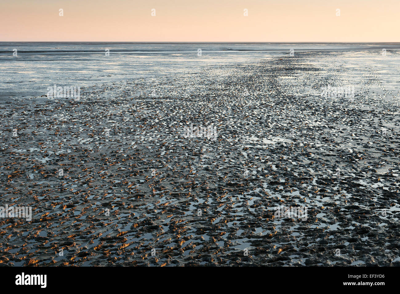 Image of mudflat landscape in Northern Germany at sunset Stock Photo