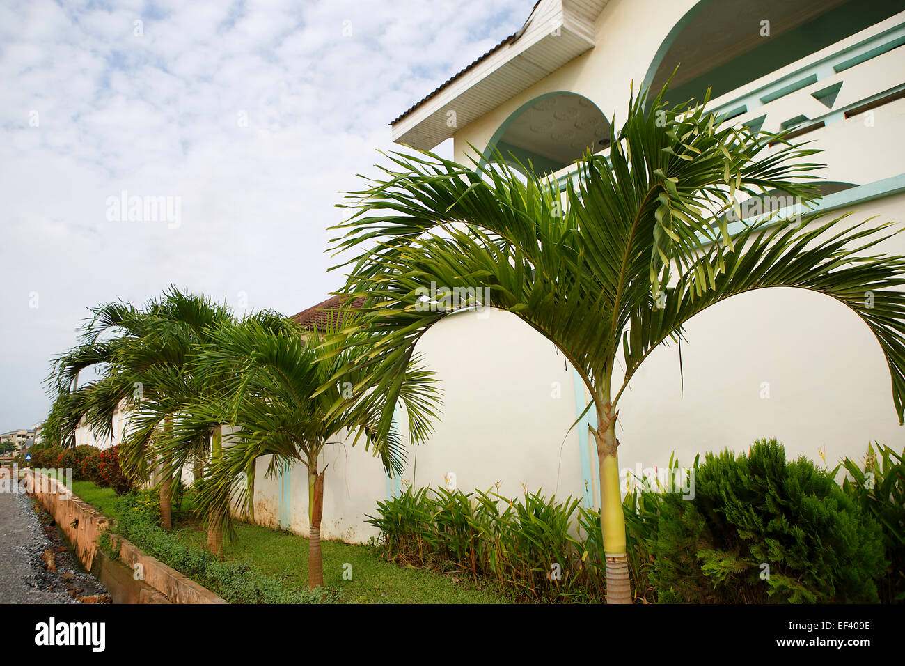 Beautiful white house front with green palm trees in Africa Stock Photo