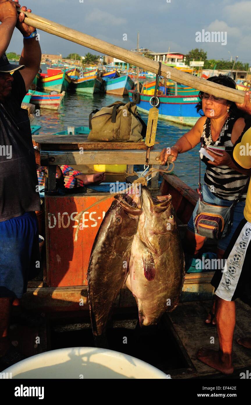 Mero munique fish weighing - Port in PUERTO PIZARRO. Department of Tumbes .PERU Stock Photo