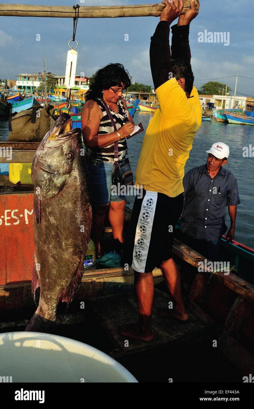 Mero munique fish weighing - Port in PUERTO PIZARRO. Department of Tumbes .PERU Stock Photo