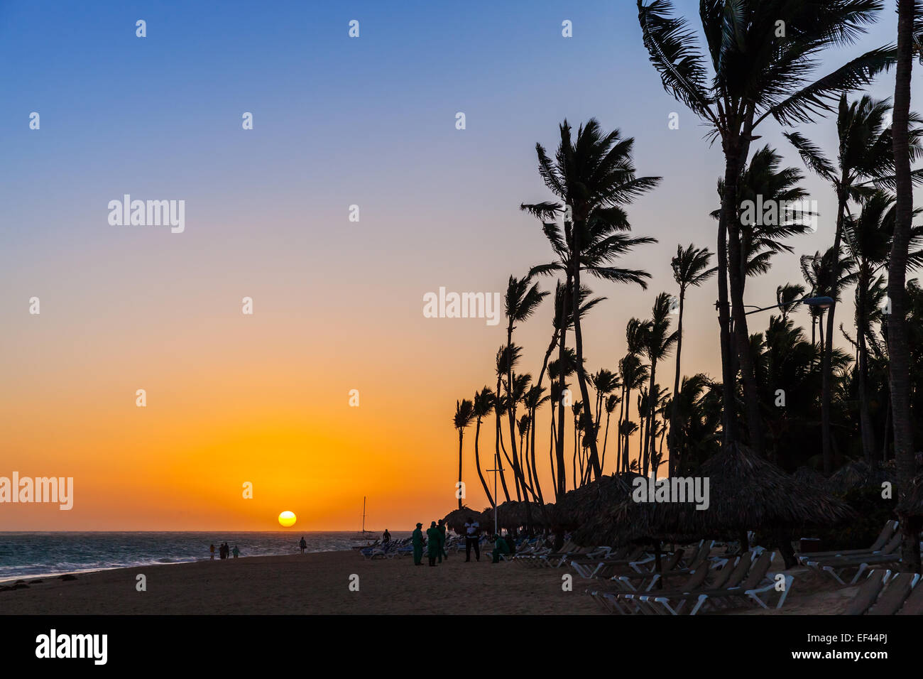 Sunrise landscape on Atlantic ocean coast with palm trees. Dominican republic Stock Photo