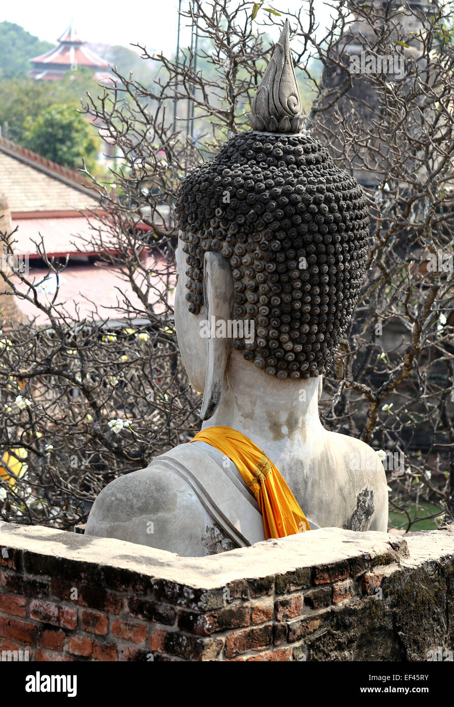 photo Big Buddha head in the ruins of the temple Stock Photo